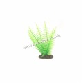 HUGO KAMISHI BROAD LEAF FERN GREEN 13CM